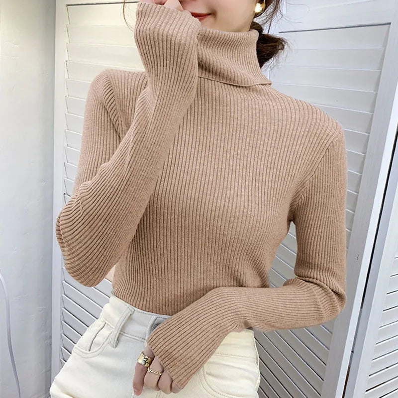 Classic Rib Turtleneck