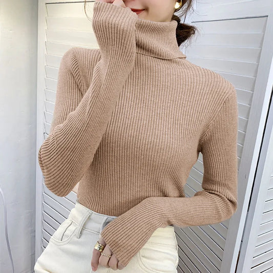 Classic Rib Turtleneck