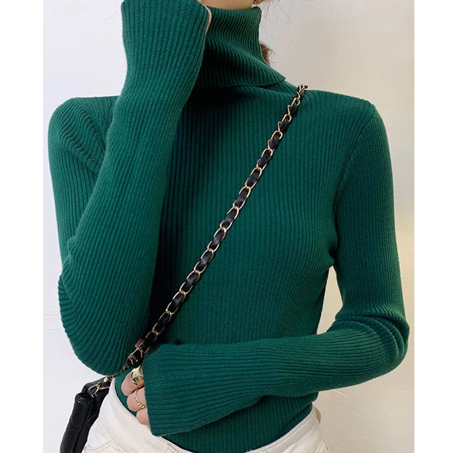 Classic Rib Turtleneck