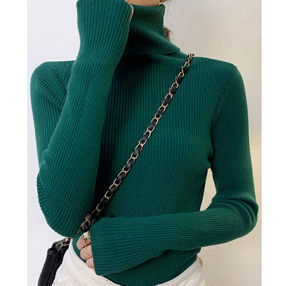 Classic Rib Turtleneck