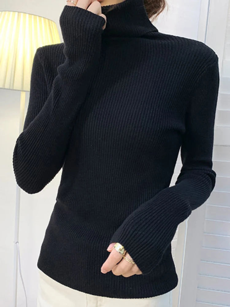 Classic Rib Turtleneck