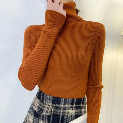 Classic Rib Turtleneck